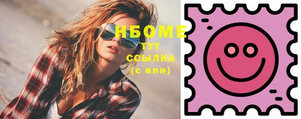 индика Нефтегорск