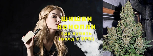 индика Нефтегорск