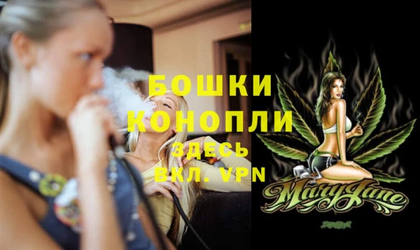индика Нефтегорск